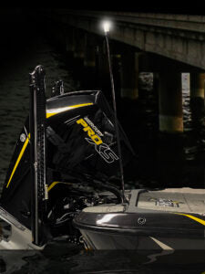 FIREFLY Junior Diamond Series Stern Lights