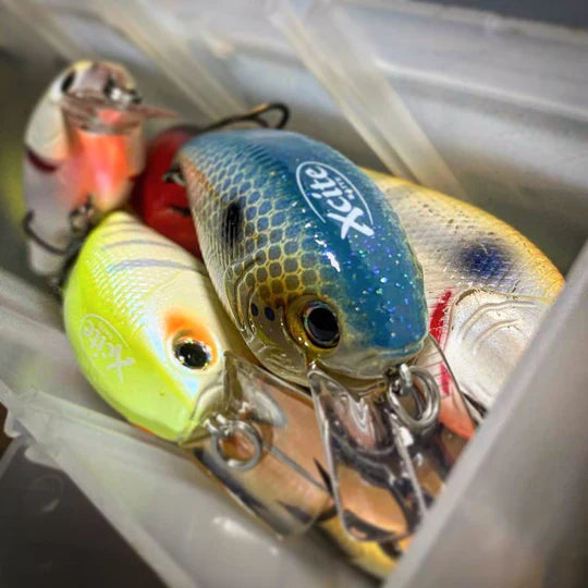 Fishing Tackle, Bait & Terminal
