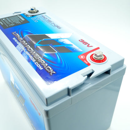 Lithium Pros  M3167-36 38.4V 67Ah Lithium Ion Trolling Battery