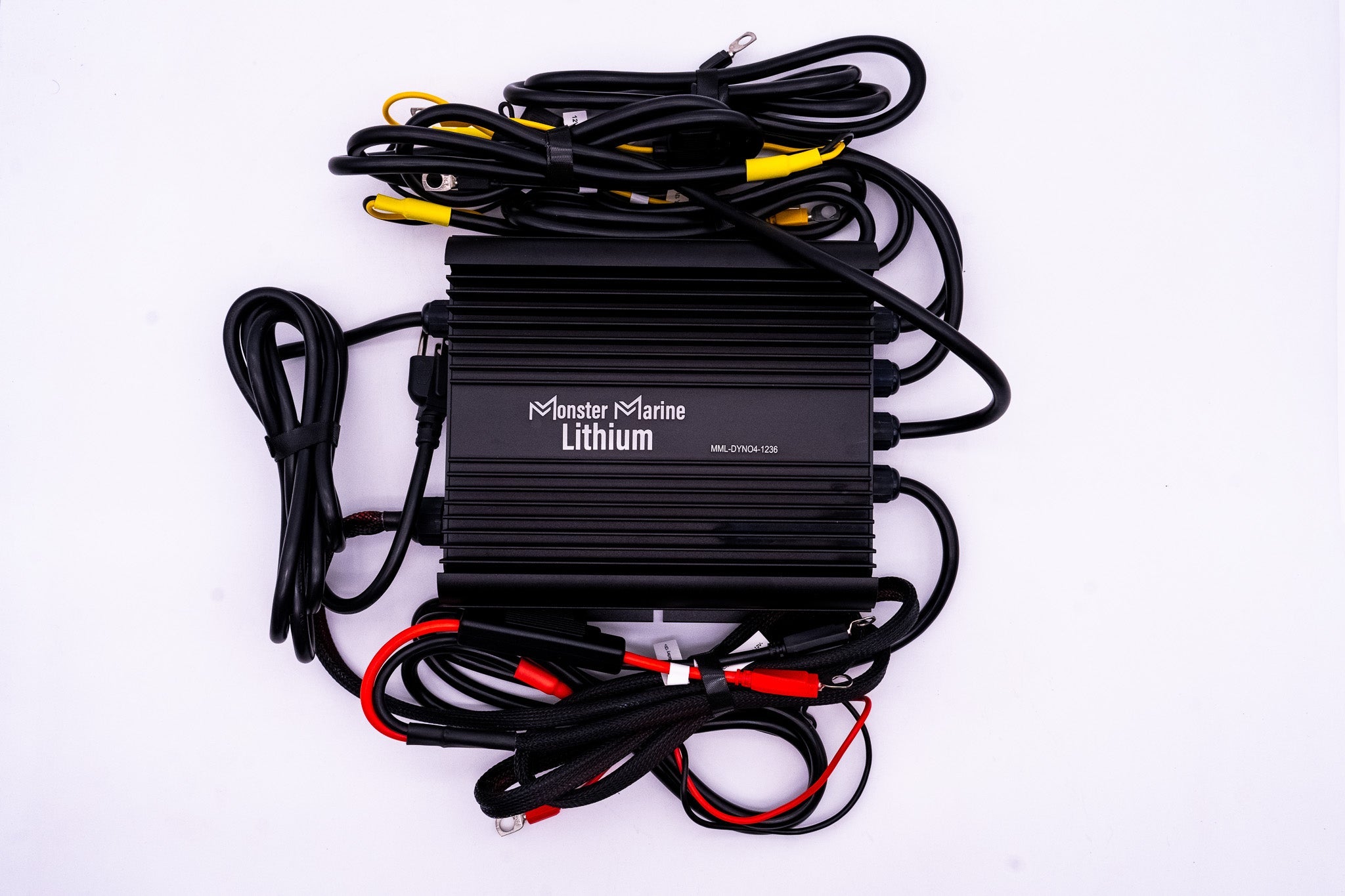36v DYNO4 Dynamic Charger