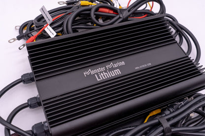 36v - DYNO5 - DYNAMIC CHARGER