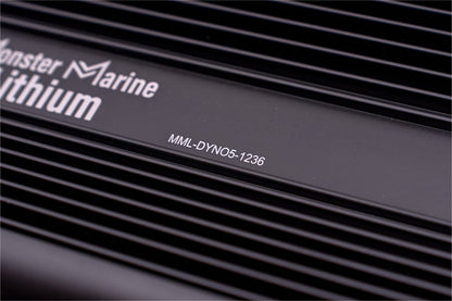 36v - DYNO5 - DYNAMIC CHARGER