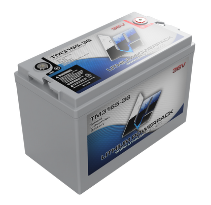 Lithium Pros TM3165-36 36V 65Ah BlueTooth Lithium Ion Trolling Battery