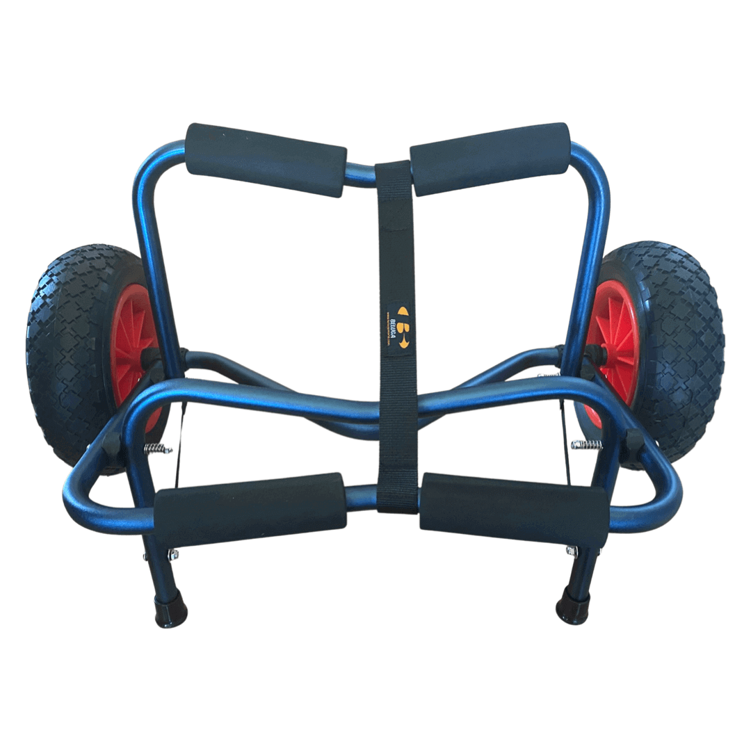 Large Cart
